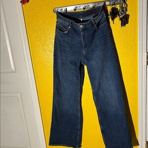 Zara Dark Blue Flare Jeans